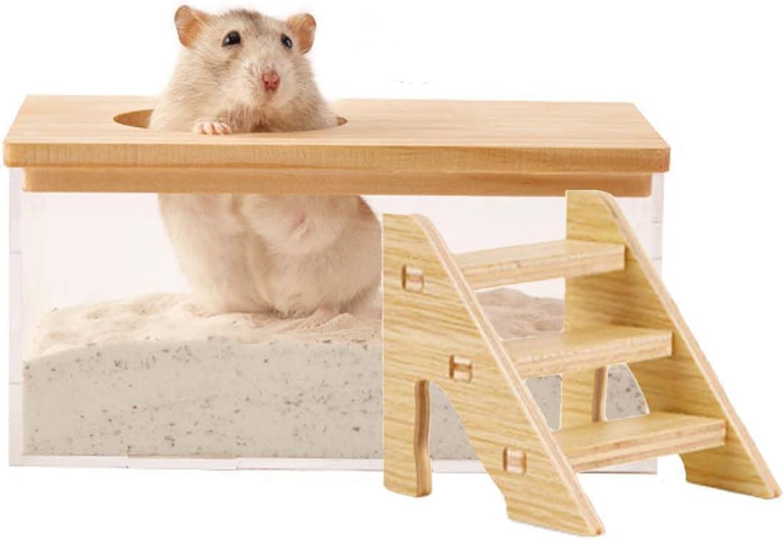 Hamster Sand Bath Box, Transparent Acrylic Dust Bath Container with Ladder, Large Digging Sandbox Hideout Toilet for Hamsters Gerbils Chinchilla Small Pets Indoor Cage Use(M, Rectangle)