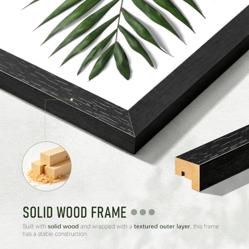 Image of 11x17 Picture Frame Set of 5, Solid Wood Frames, Black Woodgrain