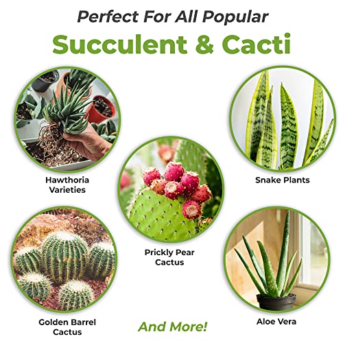 Fertilizante Líquido para Cactus y Suculentas 8oz miniatura 2