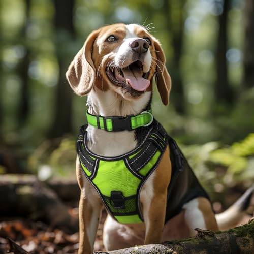 Image of Joytale Reflective Dog Collar, Adjustable Neoprene Padded, Green L | Breathable Nylon for Large Dogs, No Chafing on Walks and Outdoor Hikes, Tear-Resistant Webbing, Metal D-Ring, Night Safety