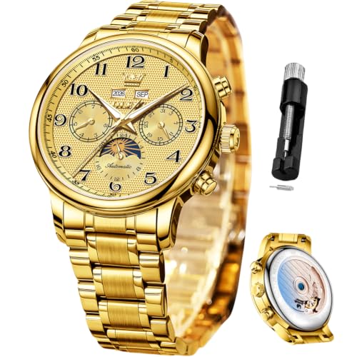 Image of OLEVS Automatic Watches for Men Luxury Skeleton Multi-Function Mechanical Watch Self Winding Date Waterproof Luminous Mens Watch
