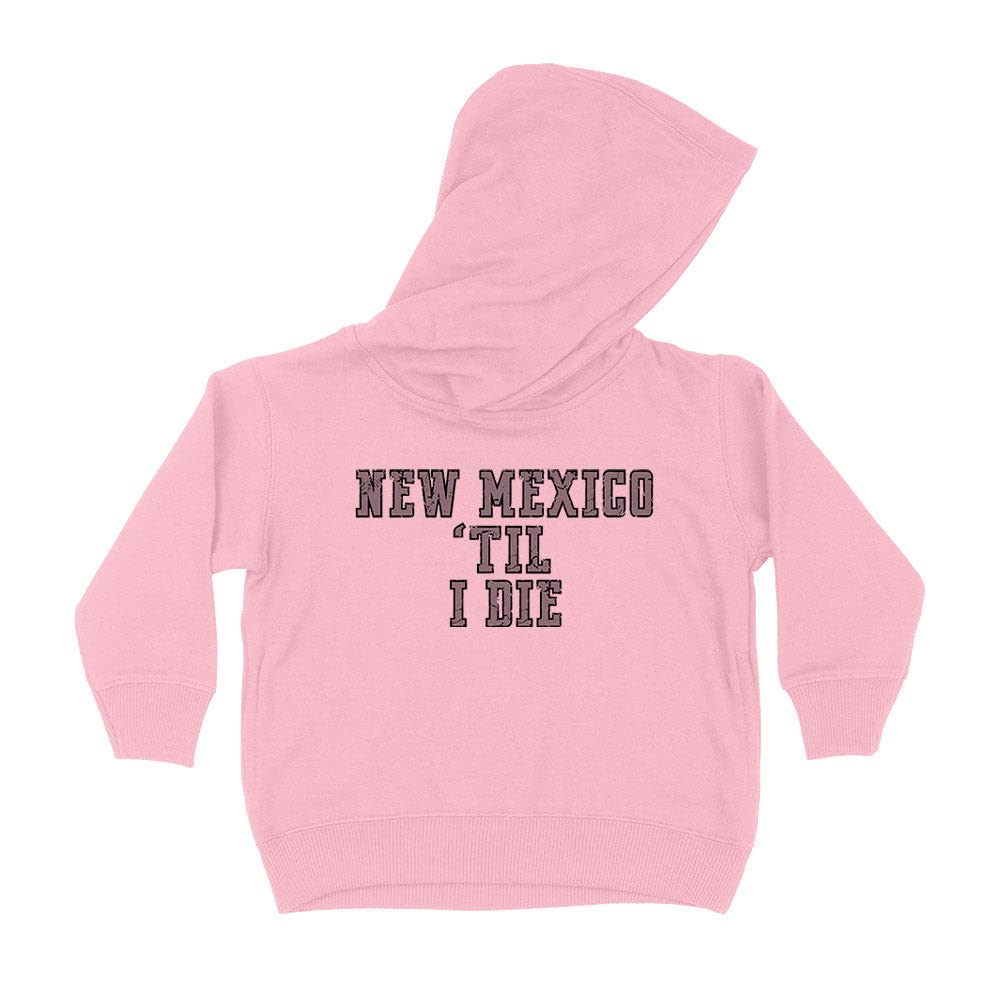 New Mexico Til I Die Kids Hoodie Sweatshirt Toddler 4T Light Pink