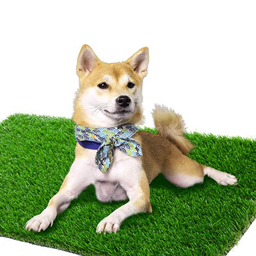 ZGR Artificial Garden Grass 3 ft x 5 ft (15 Square ft) Premium Lawn Turf, Realistic Fake Grass, Deluxe Synthetic Turf, Thick Pet Turf, Perfect for Carpet Doormat Indoor/Outdoor Landscape, Non Toxic