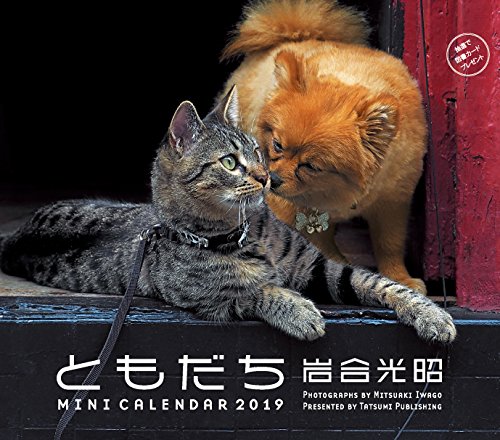 新鮮な壁紙 岩合 光昭 最高の花の画像