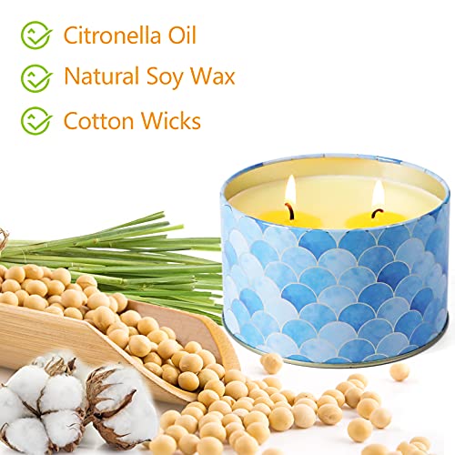 Lasenteur Citronella Incense, Citronella Candle, Citronella Candle For Outdoor, Citronella Incense Sticks, Lemongrass Citronella Stick With Citronella Oil #TOP5