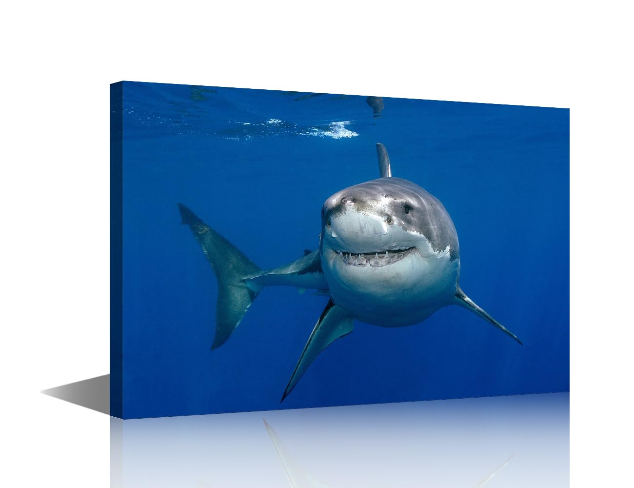 TISHIRONBig Shark Canvas Paintings Great White Shark Bedroom Wall Art Ocean Animals Contemporary Home Decor Bathroom Decor Wall Art Modern Artwork Ready to Hang for Living Room Office, 36x24in