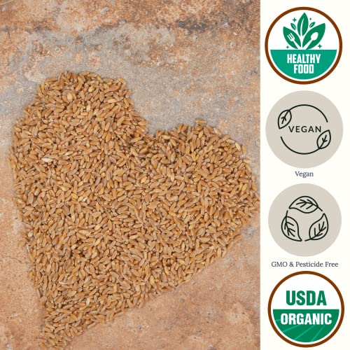 Einkorn Farro Grain Organic (4.8 Lb) Be Still Farms - Einkorn Wheat Berries Bulk Whole Ancient Grains - Ideal For Soup, Flour, Bread - High In Fiber | Usa Grown | Usda Certified | Vegan | Non-Gmo #TOP1