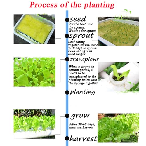 Maisutseb Kit de cultivo de sistema hidropônico 54 plantas sistema de cultivo hidropônico 3 fileiras