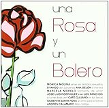 braut bolero spitze rosa  Una Rosa Y Un Bolero