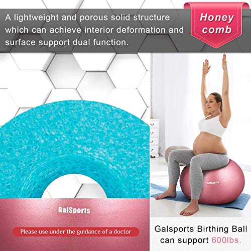 GalSports Pregnancy Birthing Ball, Yoga Exercise Birth Ball Chair for Delivery & Training & Fitness, Extra Thick Labor Ball with Quick Pump(Dusty Rose,M(48-55cm))