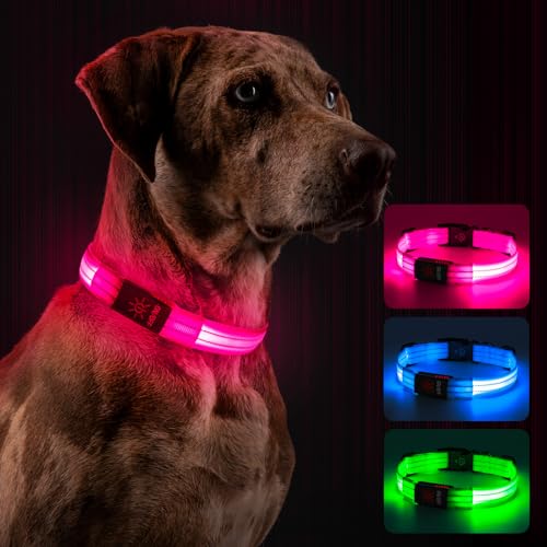 Leuchthalsband Hund, Hundehalsband Leuchtend Aufladbar mit Batteriekontrollleuchte, Wasserdichtes LED Hundegeschirr Leuchtend, Einstellbare Größe 3 Blinkende Lichter