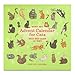 Trader Joe's Advent Calendar for Cats - Salmon and Dried Seaweed Recipe Cat Treats