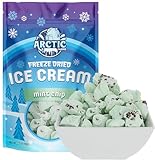Arctic Farms Freeze Dried Ice Cream Bits Bagged and Boxed - Does Not Melt (Mint Chocolate Chip, 2.5oz)