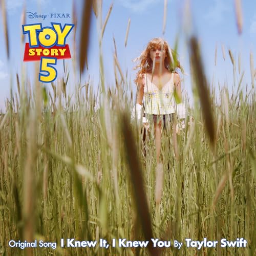 I Knew It, I Knew You / Taylor Swift