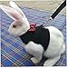 Rabbits Hamster Vest Breathable Bunny Harness with Leash Small Animals Mesh Chest Strap for Ferret Guinea Pig Pet Accessories (Size M)