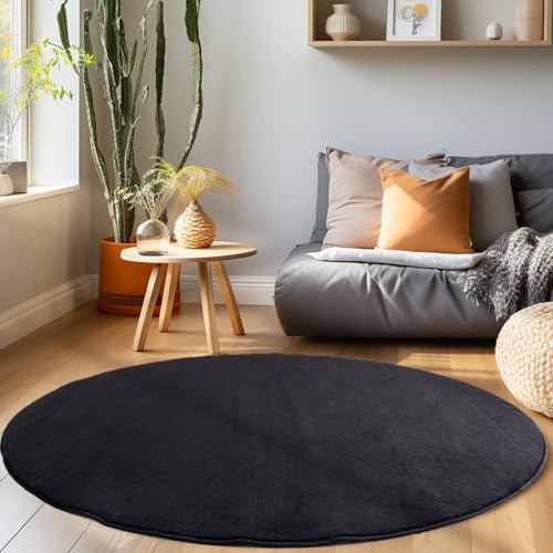 HomebyHome Teppich Wohnzimmer Waschbarer Teppiche Moderne Design - Küchenteppich Waschbar Extra Weich Flauschiger Kleiner Teppiche für Schlafzimmer Kinderzimmer