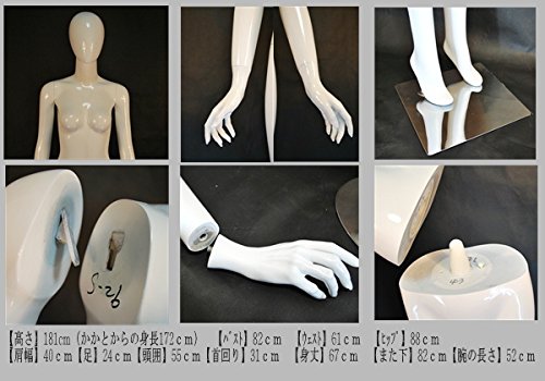 Amazon.co.jp: マネキン女性全身リアルボディ MD-A2WL（白光沢