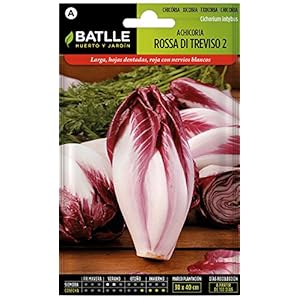Batlle groentezaden – Chicoree Radicchio Rossa di Treviso (3200 zaden)