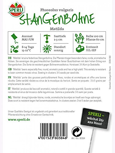 Foto von Stangenbohne Matilda