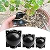 Nicoone Plant Rooting Device,3 stks Herbruikbare Plant Root Growing Box Hogedruk Plant Enten Box Plant Propagatie Luchtgelaagdheid Pod voor Tuin Growing Fokken – Zwart