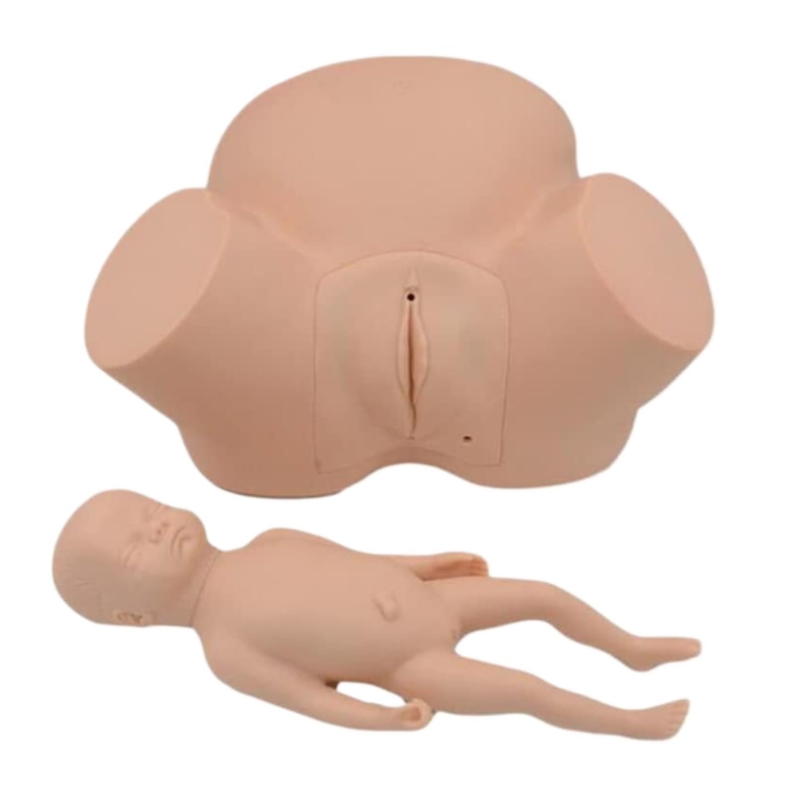 Model Anatomii Człowieka Model Demonstracyjny Położnictwa Anatomia Symulacja Porodu Lalka Szkolenie Położnych Kobieta W Ciąży Model Anatomiczny