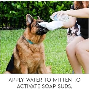 No Rinse Pet Wipes, Rinse Free Shampoo Mittens for Dogs and Cats, Bath Wipes for Bathing and Washing Pets, Hypoallergenic No Rinse Wash Mitt for Grooming, Lather Wipe Dry – 5 Pack