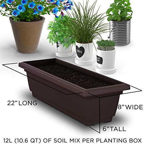 4Ft Vertical Raised Garden Bed - 5 Tier Food Safe Planter Box For Outdoor And Indoor Gardening Perfect To Grow Your Herb Vegetables Flowers On Your Patio Balcony Greenhouse Garden #TOP3