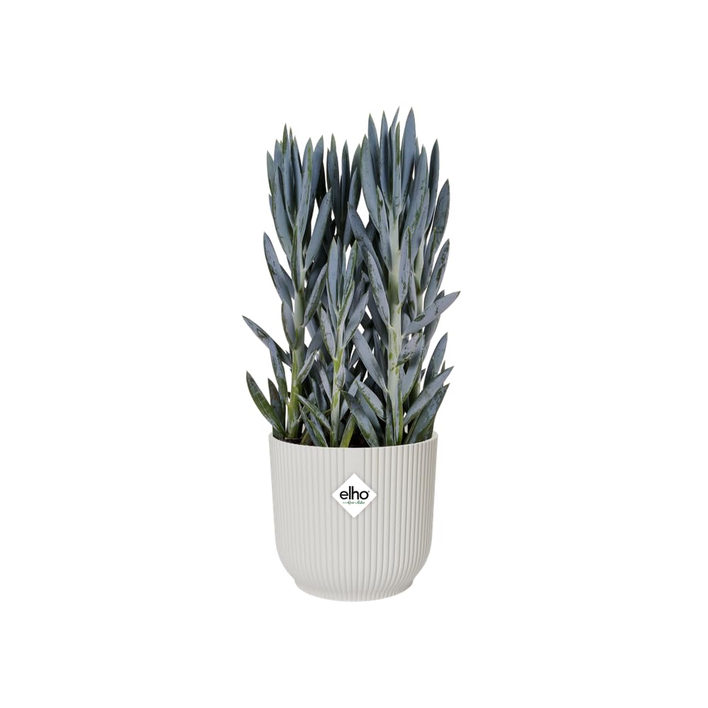 Elho Vibes Fold Round Wheels 35cm Vasi per Piante - Silky White | ∅ 34.9 x A 32.4 cm | Adatto per uso interno | Plastica riciclata al 100%