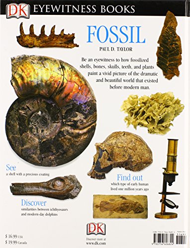 DK Eyewitness Books: Fossil - Image 2
