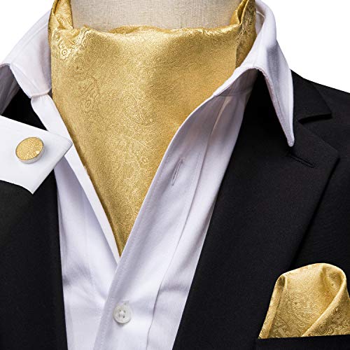 Dubulle Men's Gold Paisely Silk Cravat Ties Jacquard Woven Casual Ascot And Pocket Square Set #TOP2