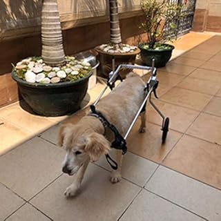 Sedia per Cani Regolabile,Carrozzina per Cani di Taglia Grande, con disabilità per Riabilitazione delle Zampe Posteriori, Peso approssimativo 15-60 kg
