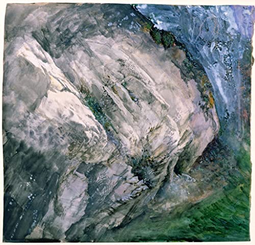 Toile Roches et végétation à Chamouni par John Ruskin pour salon élégant 60x90