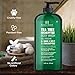 Botanic Hearth Eucalyptus & Tea Tree Body Wash | 16 Fl Oz | Helps Soothe Skin, Refreshing And Invigorating, Cleansing Shower Gel For Men And Women | Sulfate Free, Paraben Free