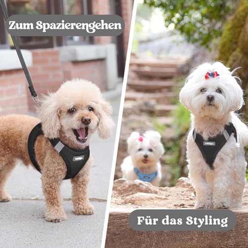 rabbitgoo Hundegeschirr Kleine Hunde, Step-in Welpengeschirr Weich Mesh für Spaziergänge, Atmungsaktives und Reflektierendes Brustgeschirr für Kleine und Mittelgroße Hunde, Schwarz, L