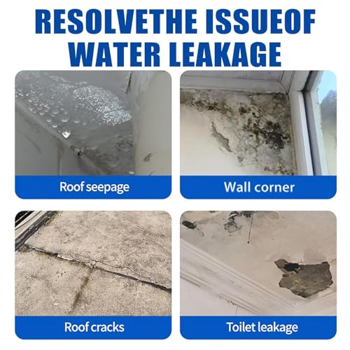 Image of UCRAVO 2PCS Sealant Crack Seal Glue 300gm with Brush Transparent Waterproof for Roof Leakage Crack Seal Agent Roof Water Leakage Solution, Waterproof Agent, Wall Glue