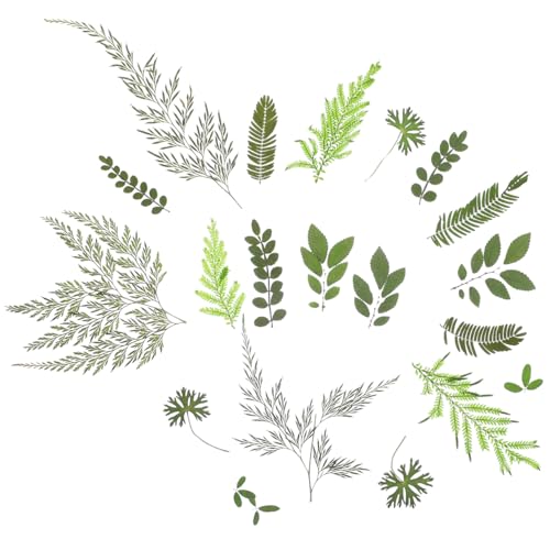 Set de hojas secas reales para manualidades con 7 patrones naturales miniatura 6