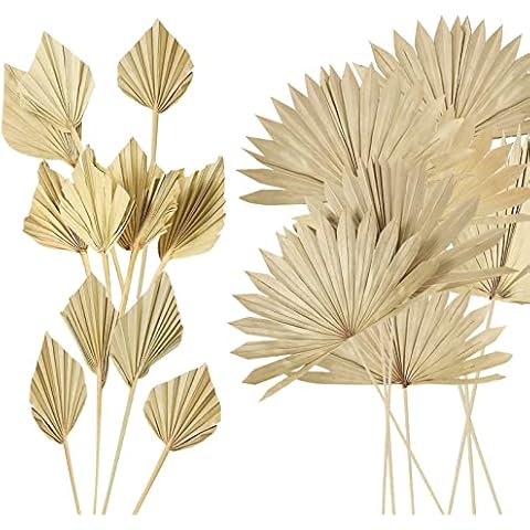 JieyueJewelry 20 Pcs Natural Dried Palm Leaves, 2 Style Boho Palm Leaf Fans Decorative Sun Palm Fan Leaf, 16 inch Bohemian Decor for Wedding, Party, Home Holiday Decorations Cover