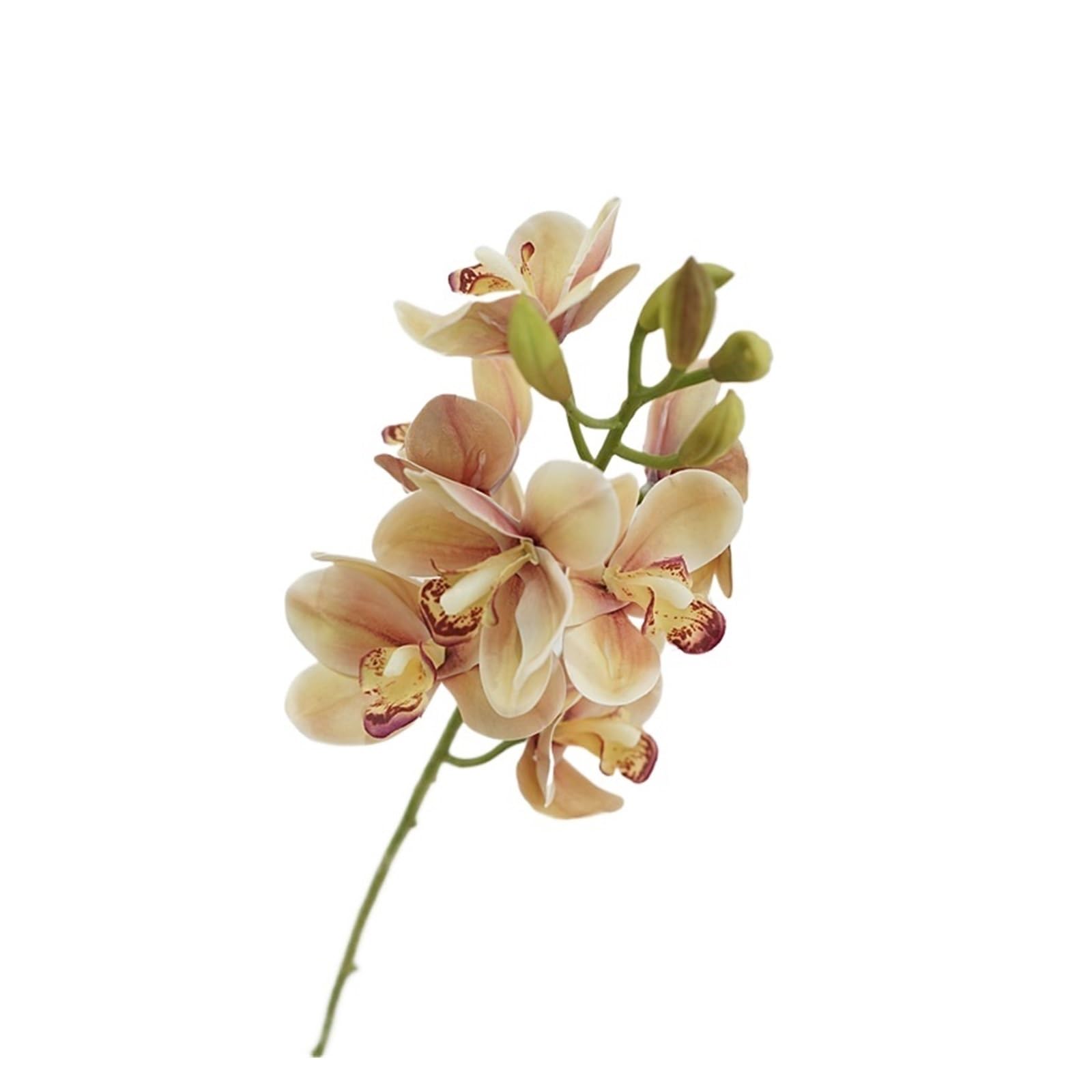 Casetlong 5Pcs Artificial Flowers For Home Decoration Wedding Party Flower Arrangement(Beige green)