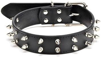 PetCeptual Pure Leather Dog Spike Collar for Medium & Large Dogs (Color Will be Sent as per The Availability)