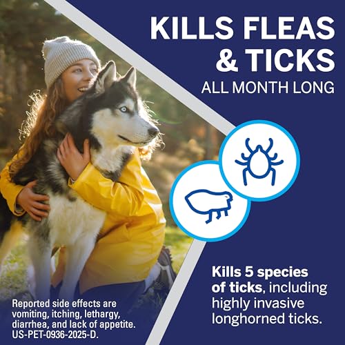 NexGard® (afoxolaner) Flea and Tick Protection for Dogs Oral Soft Beef Flavored Chewables, 60.1 to 121 lbs (Red Box) 6 Chews (6 Month Supply) - Image 6