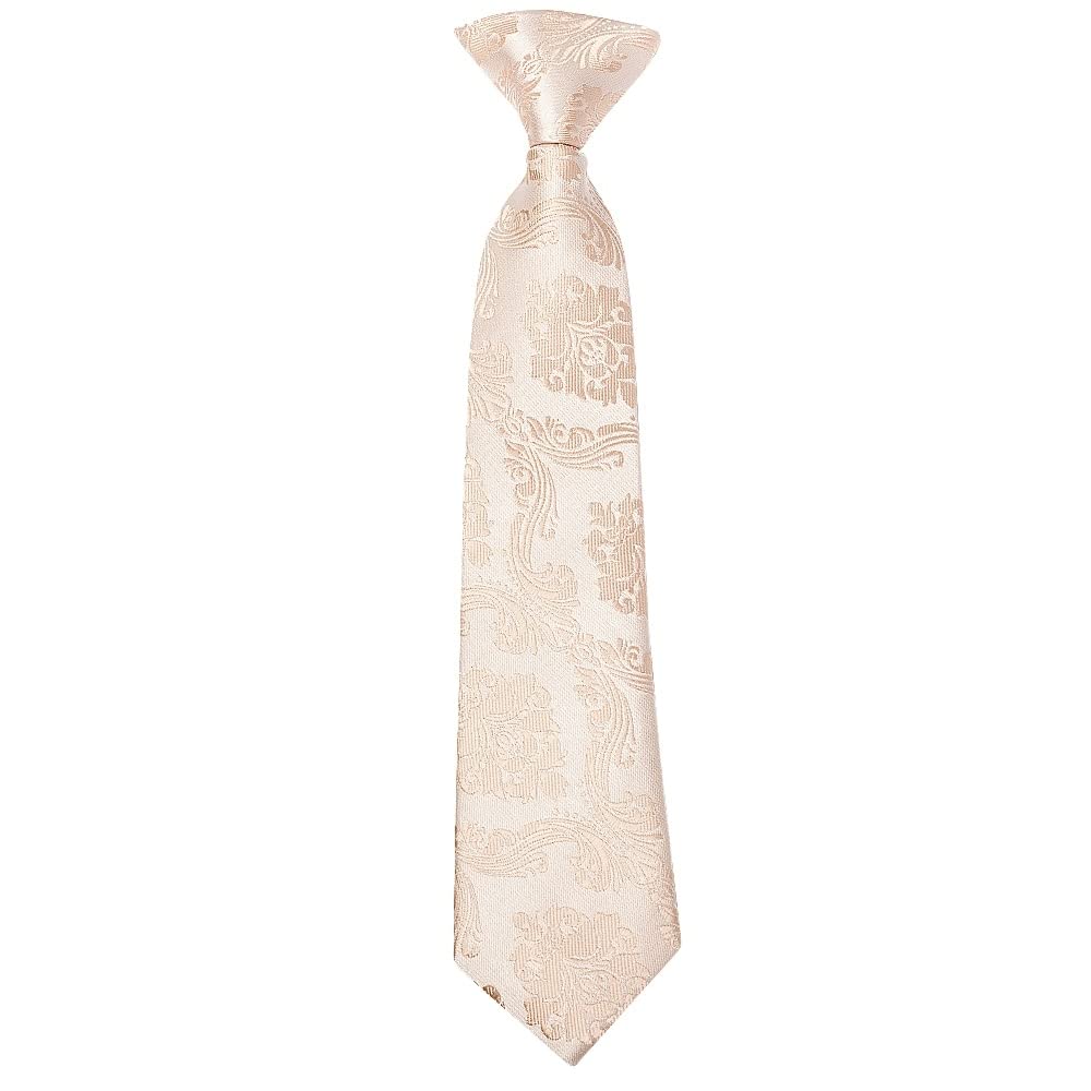Ties R Us Boys Peach Pre Tied Nude Paisley Tie Age 4-7