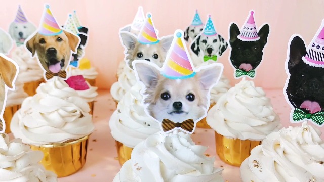 Décorations De Fête Chien Fournitures D'anniversaire Bannière