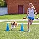 Relaxdays Steckhürdenset, 18 teilig, Hunde Agility & Fußballtraining, 12 Pylonen, 6 Stangen, Hindernisse, blau/gelb