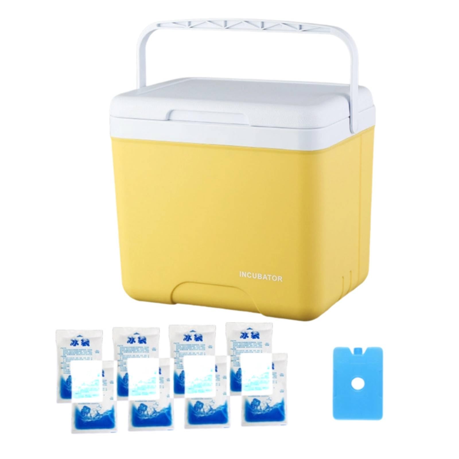 Borsa Frigo Portatile Contenitore Termico Scatola Ghiacciaia con Interno Spazioso E Dimensioni Compatte Isolamento Rigido con Piastre Ghiaccio Incluse
