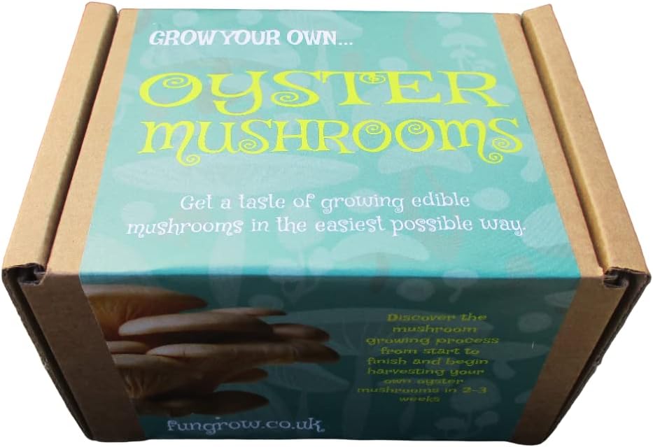 FUNGROW Mushroom Growing Kit DIY!, blue/grey Amazon.co.uk Garden
