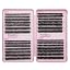 E-Cluster Lash:50D+60D+80D+100D