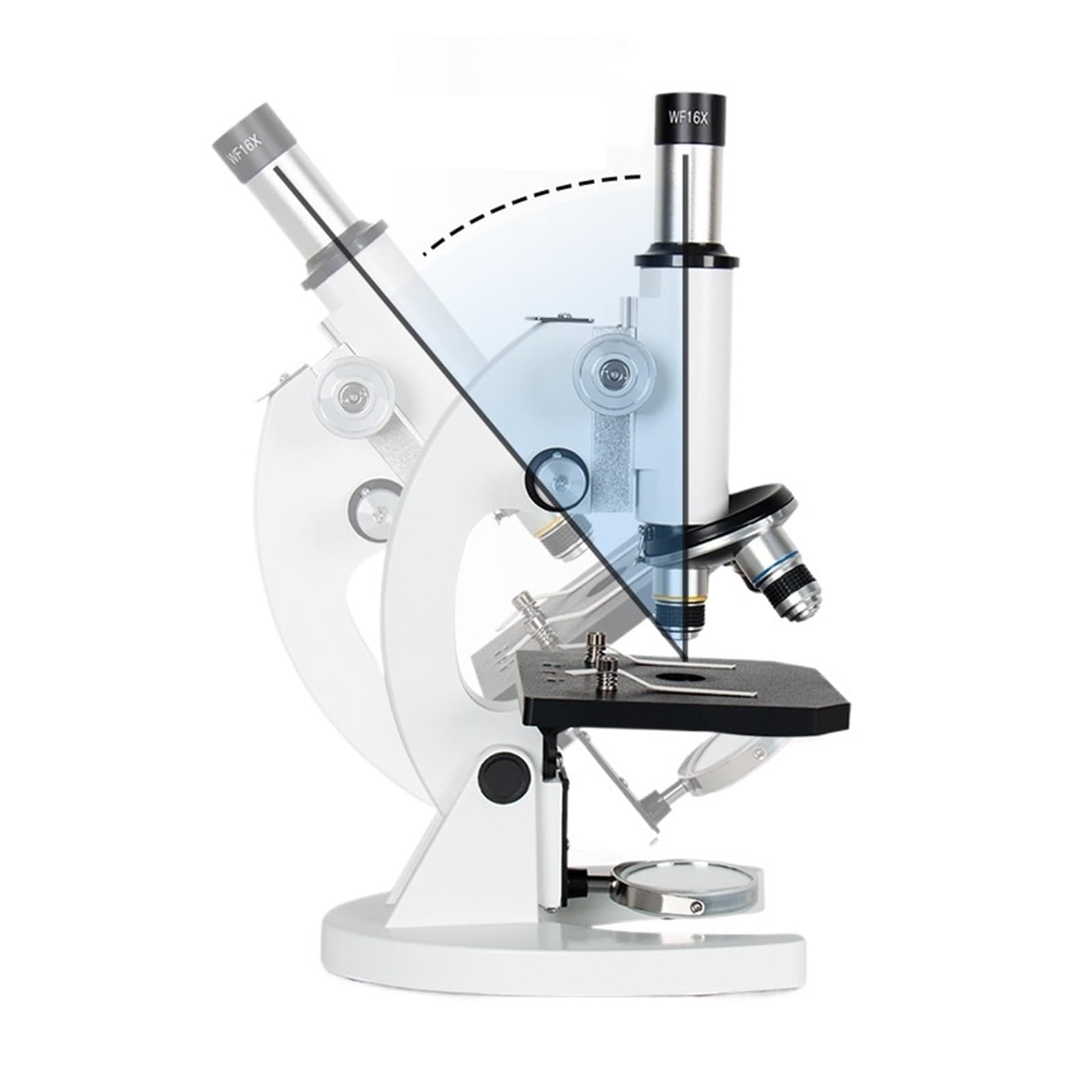 Mikroskop cyfrowy, Monokular Mikroskopowy XSP-02 40x-640x | Eksperyment Z Nauczaniem Biologii W Wysokiej Rozdzielczości, Dla Uczniów Szkół Podstawowych I Średnich