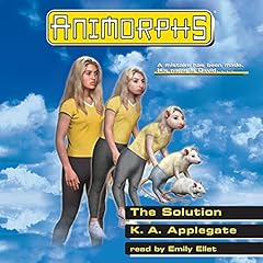 The Solution cover art