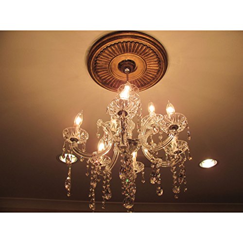 Image of Ekena Millwork CM15BEPAS 15-3 /4 inch x 3-7 /8 inch x 3 /4 inch Berkshire Ceiling Medallion, Pale Gold