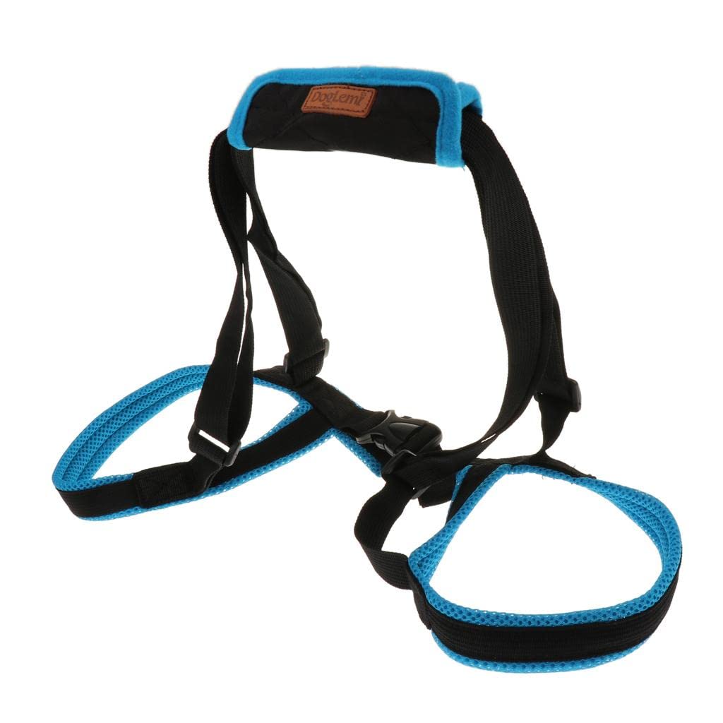 FASHIONMYDAY Fashion My Day® Dog Hind Leg Auxiliary Belt Lift Harness Mobility Aid Support Harness XL| Pet Supplies | Dog Supplies | Harnesses (B0C4118D5Z) Amazon Price History, Amazon Price Tracker